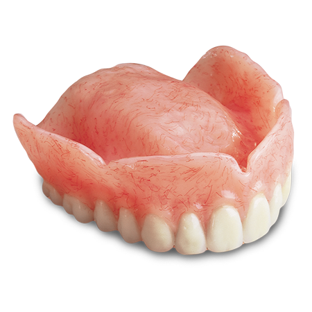 Economy Denture